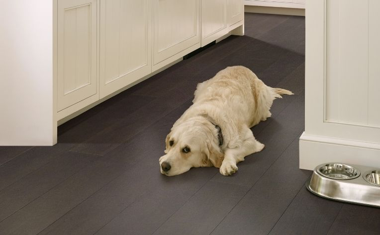 Dog resting on wood flooring in a kitchen. 